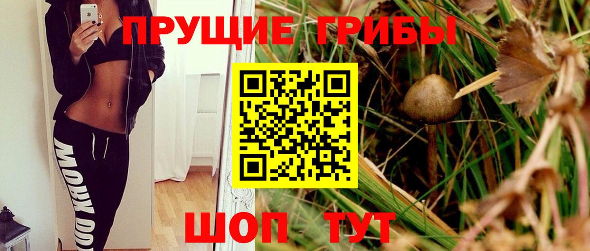 Феодосия  Псилоцибиновые грибы GOLDEN TEACHER  Вход с VPN 